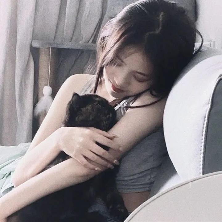 为什么猫都叫不来