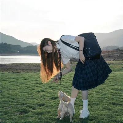 妖狐苏妲己